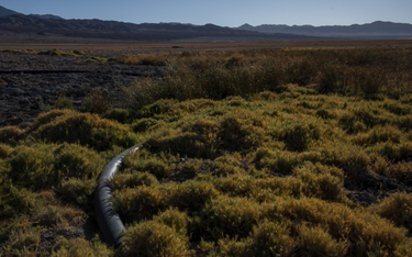 Chile:  wyciek 40 tysięcy litrów paliwa, zagrożone parki narodowe