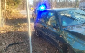 Z relacji kierującego wynikało, że stracił panowanie nad kierownicą przez nagłe pojawienie się dziki