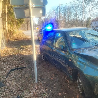 Z relacji kierującego wynikało, że stracił panowanie nad kierownicą przez nagłe pojawienie się dziki