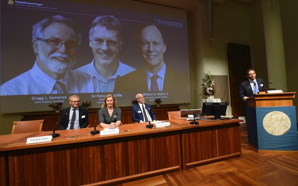 Łepkowski : Nobel za procesy tlenowe w komórkach