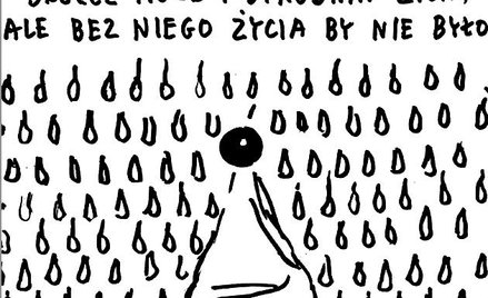 Rysuje Janusz Kapusta