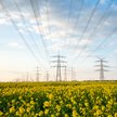 Coraz częściej media nagłaśniają przypadki zawyżonych prognoz zużycia energii