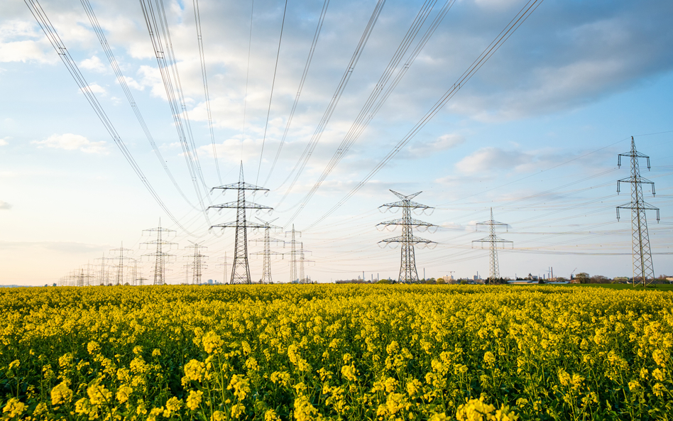 Coraz częściej media nagłaśniają przypadki zawyżonych prognoz zużycia energii