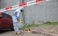 Korowódka rozprzestrzenia się w Europie. Służby walczą z nią z helikopterów