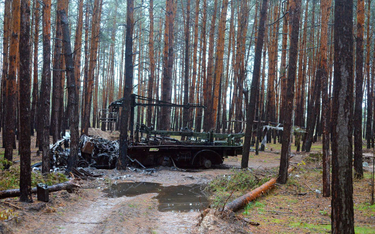 Rosyjska inwazja spowodowała wielomiliardowe straty w ukraińskiej przyrodzie