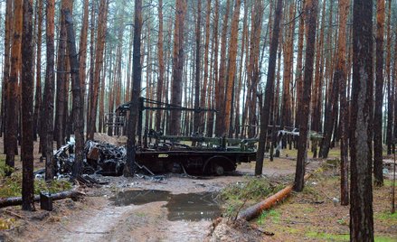Rosyjska inwazja spowodowała wielomiliardowe straty w ukraińskiej przyrodzie