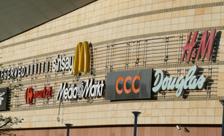 Biura spodziewają się dynamizmu CCC i LPP