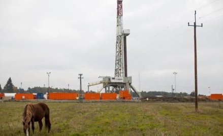 Opóźnia się scalenie akcji Petrolinvestu