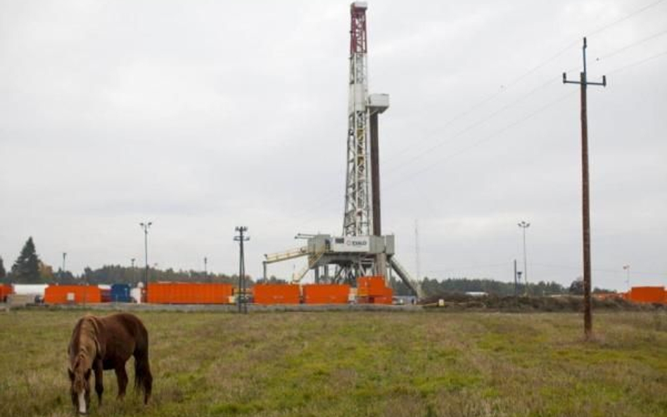 Opóźnia się scalenie akcji Petrolinvestu