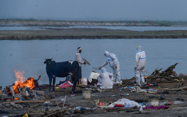 Indie: Z Gangesu wyłowiono dziesiątki dryfujących ciał