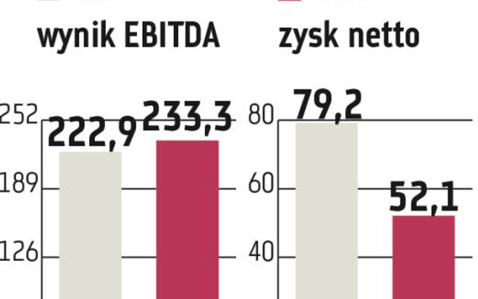 Polenergia postawi także na inne biznesy