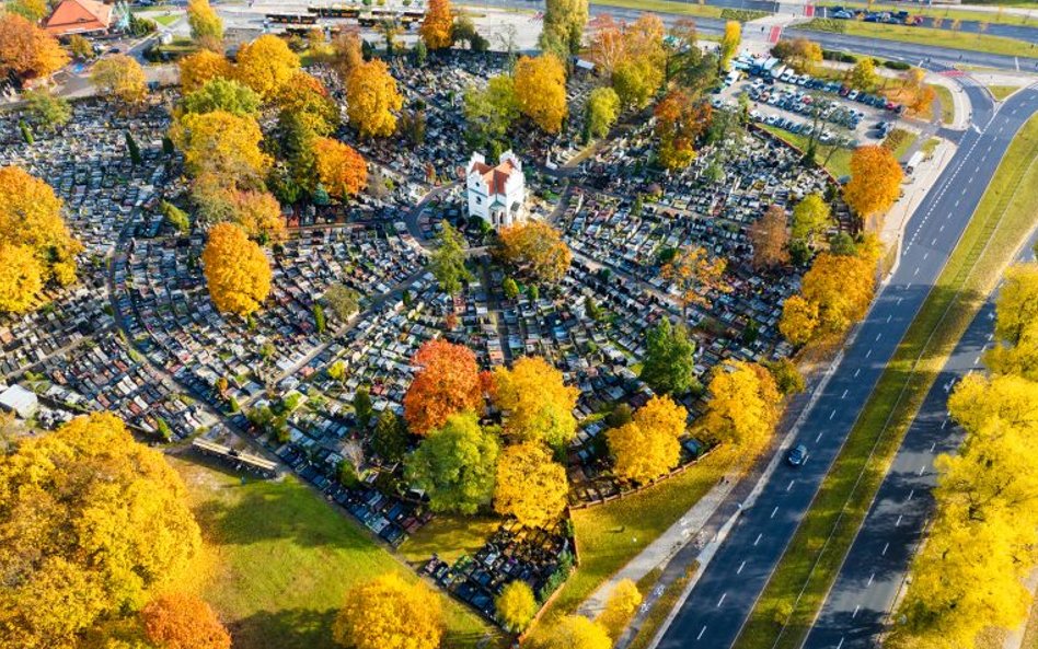 Jak zawsze w tych dniach dojazd do cmentarza w Wilanowie będzie utrudniony