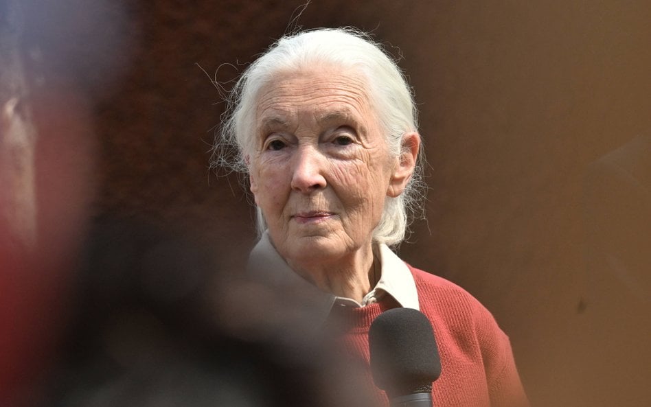 Jej bezgraniczna ciekawość i empatia odmieniły nasze rozumienie świata przyrody