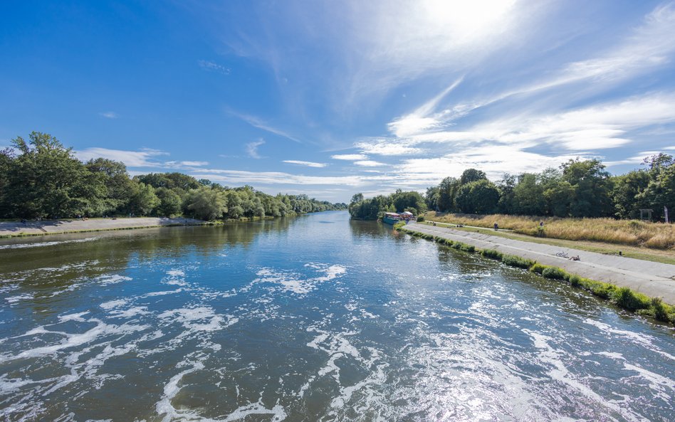 Co robią samorządy w sprawie katastrofy ekologicznej na Odrze