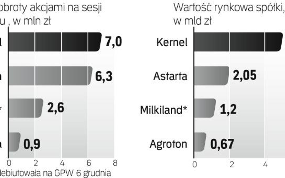 W przyszłym roku będzie wiele ofert publicznych firm z Ukrainy. Być może wezmą w tym udział polscy b