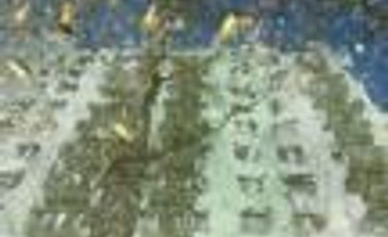 Transakcje najmu mieszkań w Warszawie