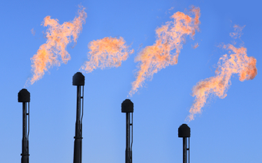Niewielka liczba inwestorów ma wpływ na potężną ilość emisji