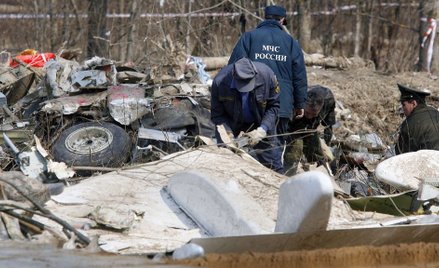 Ekspert podkomisji Macierewicza: To nie brzoza