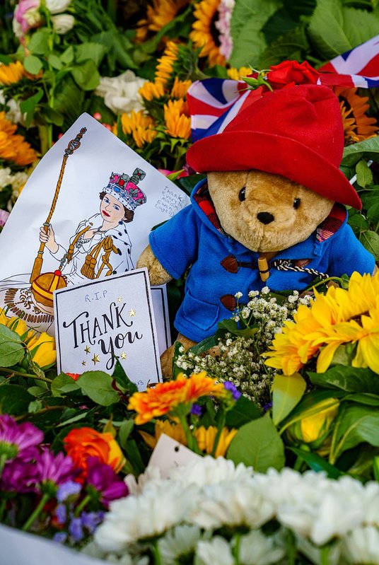 Razem z kwiatami, Brytyjczycy masowo zaczęli przynosić pod królewskie pałace misia Paddingtona, boha