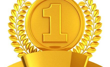 Wielka Odznaka Honorowa dla radcy za Zasługi dla Republiki Austrii