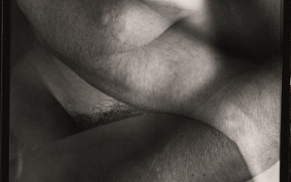 Zbigniew Dłubak, studium do Ikonosfera 1, 1967