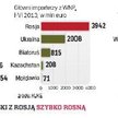 Rośnie polski eksport do Rosji