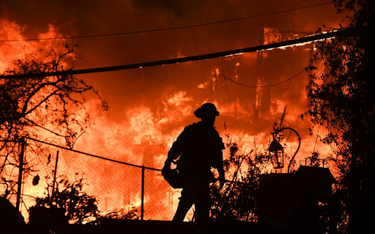USA: Rośnie liczba ofiar wielkiego pożaru w Kalifornii