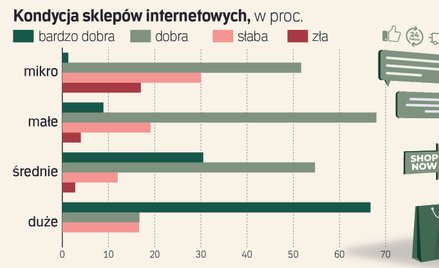 W internecie kwitną średniaki. E-sklepy zarabiają coraz lepiej