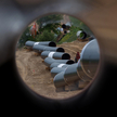 Niemcy przyznają: Nord Stream 2 może nie powstać