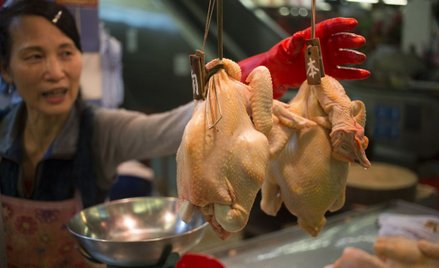 Ptasia grypa wróciła do Chin. Ognisko epidemii w prowincji Hunan