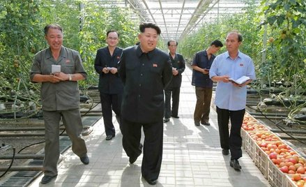 Kim Dzong Un wizytuje Instytut Biotechnologii w Pjongjangu