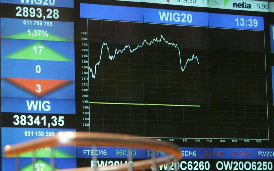 WIG20 obrał kierunek w bok