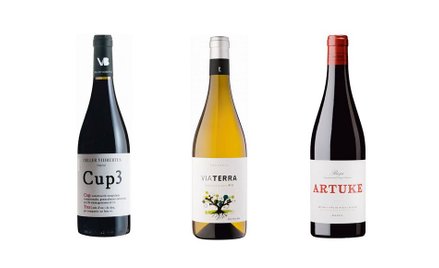 Via Terra Blanc 2018 40 zł Artuke 2018 40 zł Cup3 Trepat 2018 40 zł