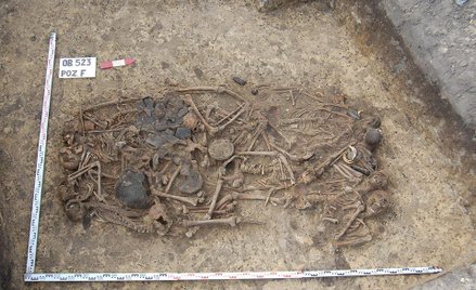 Zaskakująca zbrodnia sprzed 5 tysięcy lat