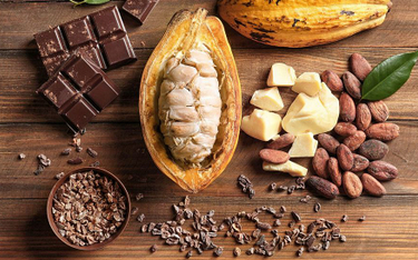 Kakao starsze niż się wydawało
