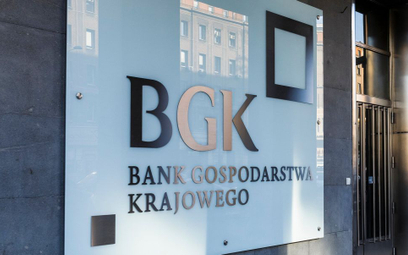 Prezes BGK o tarczy w bankach