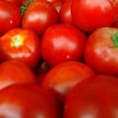 Pomidory, pomidory...