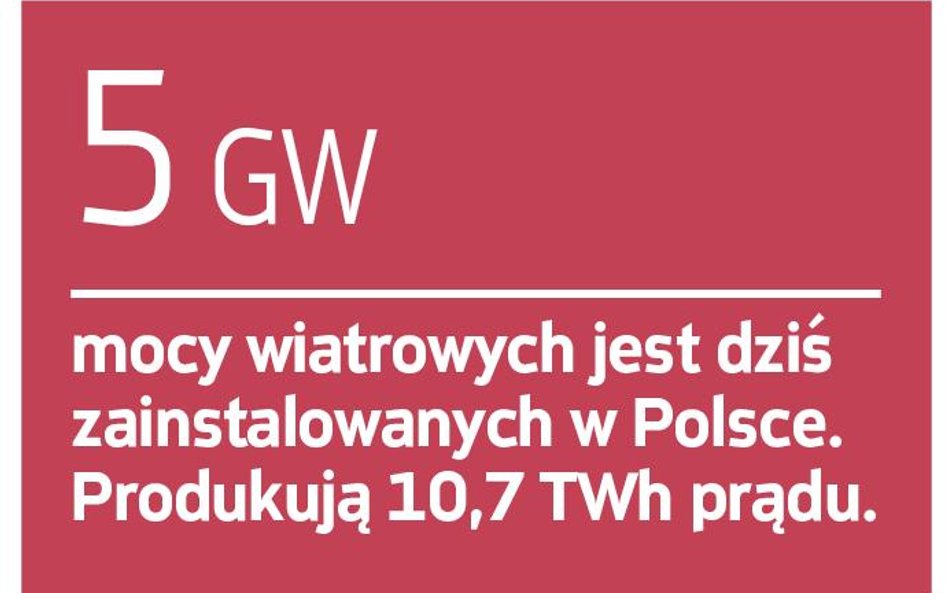 Wyeliminowanie wiatraków: Zapłacą firmy i konsumenci