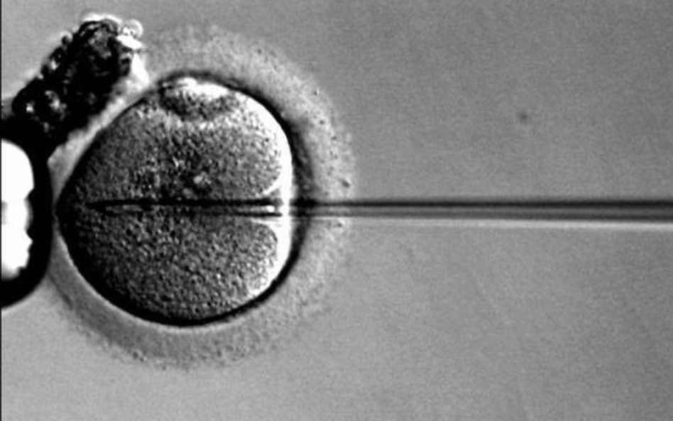 O co chodzi w rządowym zamieszaniu o in vitro?