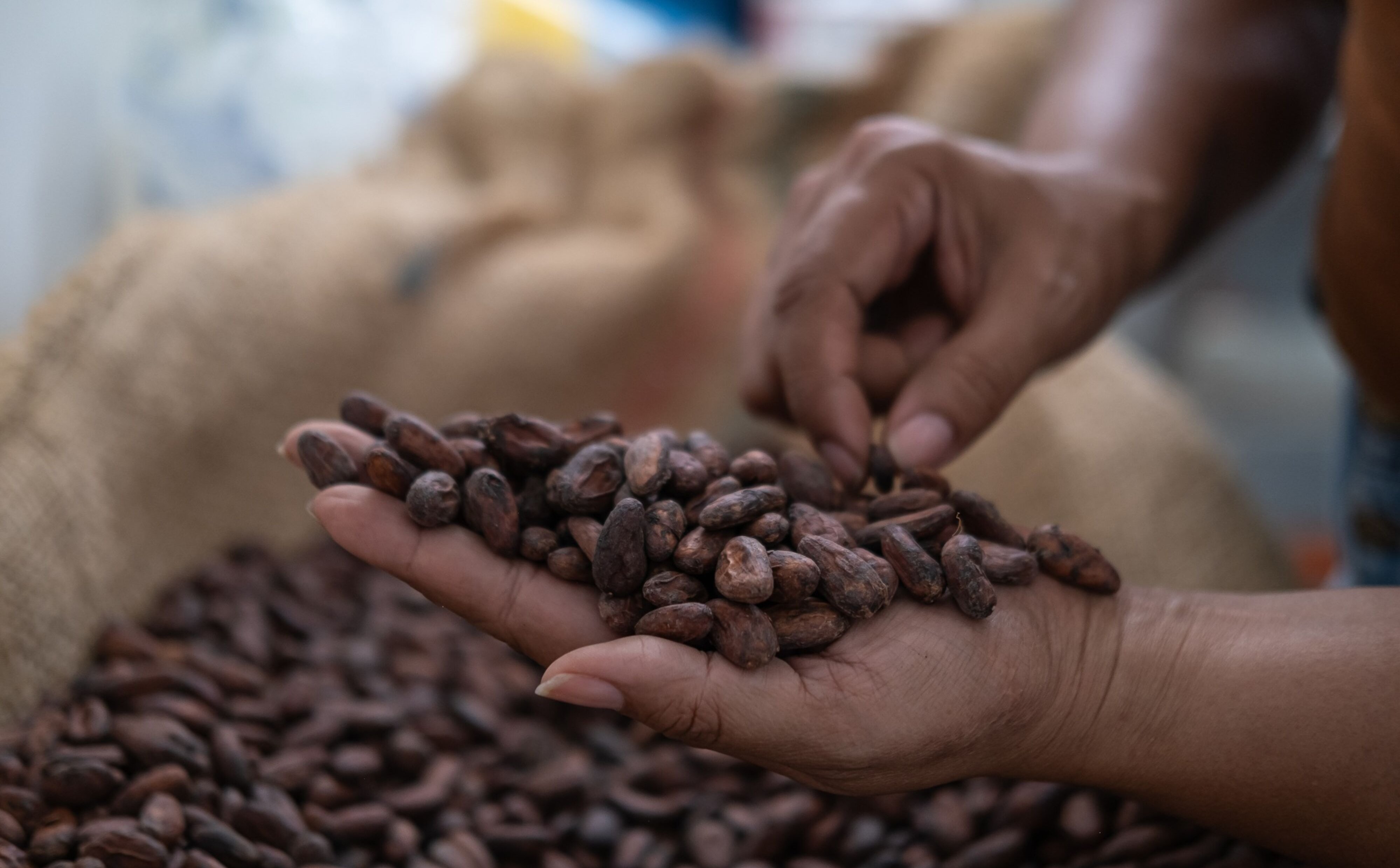 Kakao wsparciem dla wzrostu unijnego eksportu żywności