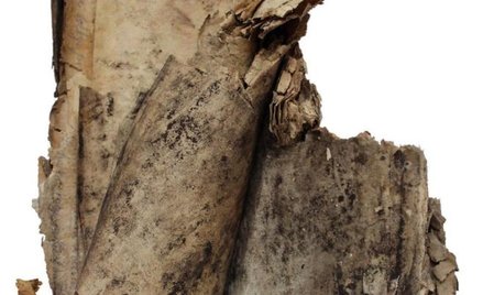 Znalezisko przed konserwacją