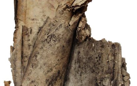 Znalezisko przed konserwacją