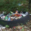 Kto ma sprzątać dzikie wysypiska śmieci