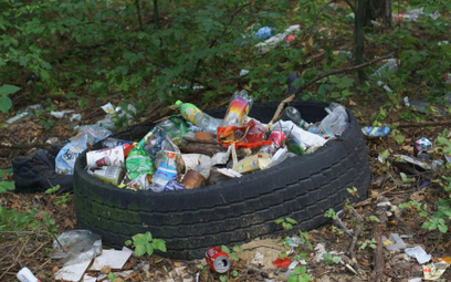 Kto ma sprzątać dzikie wysypiska śmieci