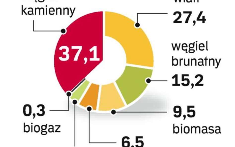 Najszybciej ma przybywać energii z wiatru. Sondaż nie przewiduje pozyskiwania energii jądrowej do 20