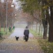 Pracownicze plany kapitałowe na ścieżce wzrostowej