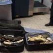 Turyści muszą szczególnie uważać, by nie zabrać jako pamiątki okazu rośliny lub zwierzęcia z gatunkó