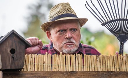 Prawo sąsiedzkie, czyli co może sąsiad, a czego nie