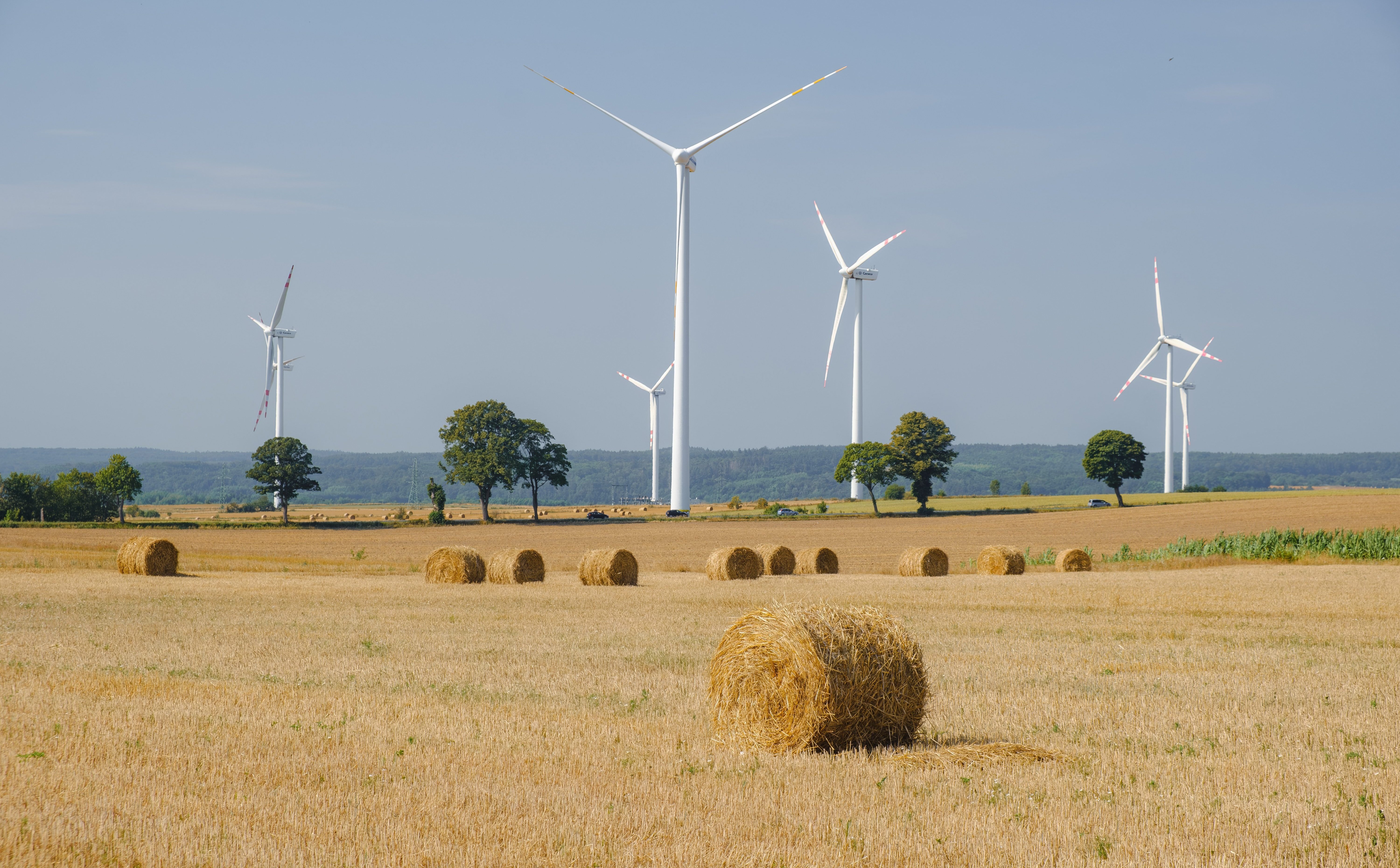 Polacy popierają liberalizację ustawy wiatrakowej mrożącej ceny prądu
