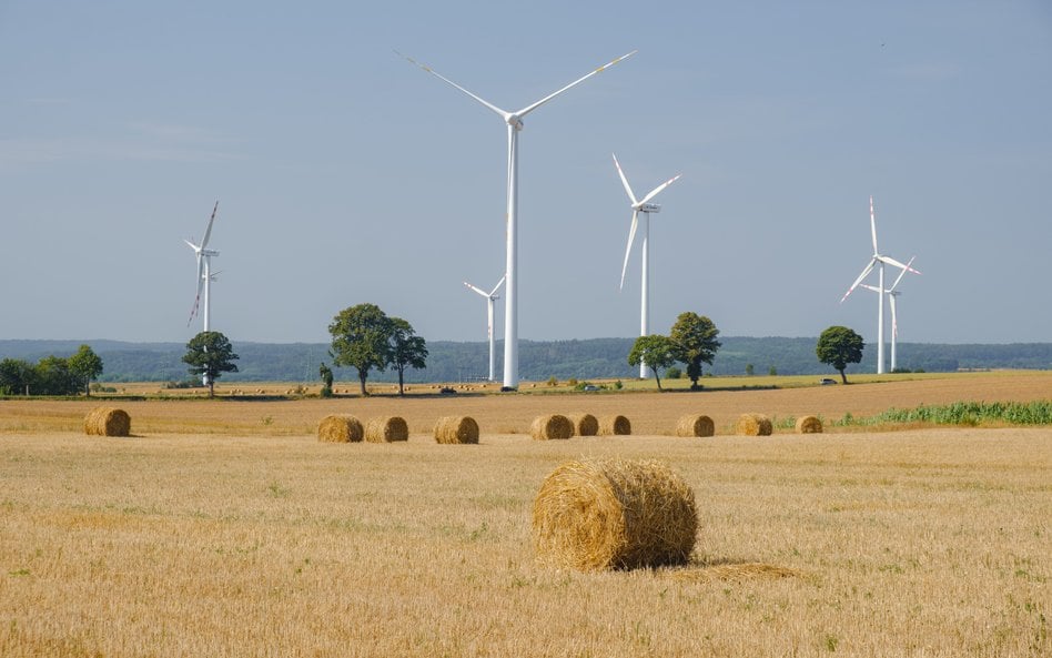Rozwój energetyki wiatrowej może realnie obniżać koszty zarówno w gospodarstwach domowych, jak i w p